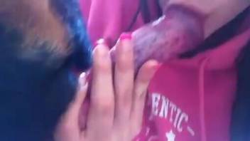 Brunette dressed in pink deepthroating a dog's dick