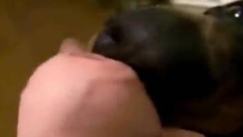 POV fucking scene with a very crafty gay animal