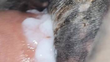 Guy ejaculates inside a massive cavern in an ultra close-up flick