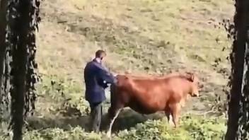 Brown cow getting fucked by a dirty fucking dude