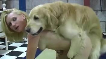 Brunette beauty manhandled by monster dog cock