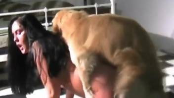 Big tits brunette screwing a horny pussyhound