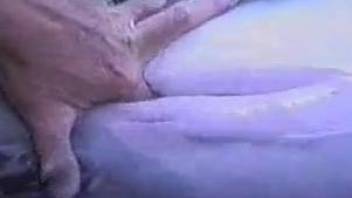 Man finger fucks dolphin in extra spicy XXX cam play