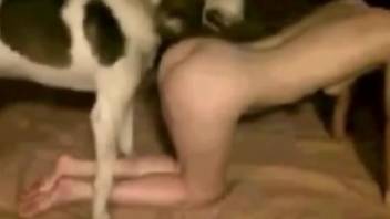 Doggystyle fucking movie featuring a dirty doggo