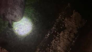 Guy thrusts his cock deep into this creature's opening