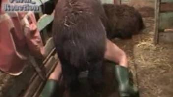 Hot fucking scene with a horny farm animal and a farmer