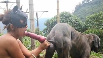 Masked hottie deepthroating a dog's nice cock outdoors