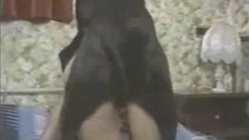 Black doggy hardly impaled a slender girl in the bedroom