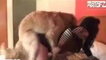 Blowjob after fuck dog