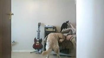 Skirt-wearing beauty gets fucked by a kinky pooch