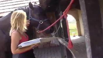 Hot blonde works the giant horse dick like a slut