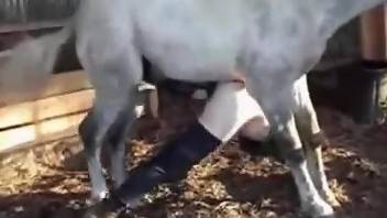 Aroused zoophilia porn lover trying horse penis in the ass