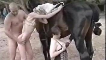 Horny compilation showing couples trying zoo sex