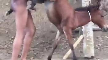 Black dude fucks donkey hard in the ass for brutal pleasures