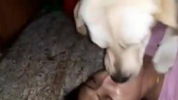 Amazing brunette having fun with a white doggo