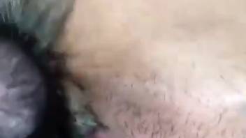 Rosy slit hottie gets tongued by a sexy beast