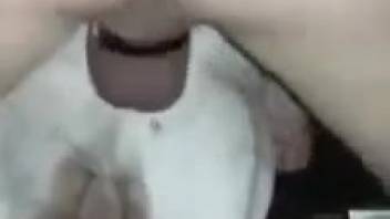 Aroused guy attempts backdoor action with a fluffy pale beast
