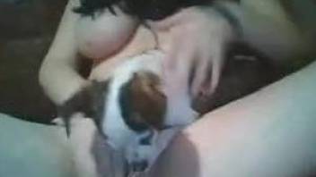 Webcam slut and trained dog make a good show