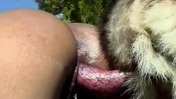 Sexy trained husky fucks a redhead ebony under the baking sun