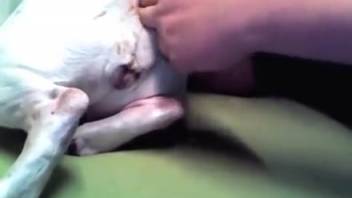 Guy fingers a bitch's pussy deeply