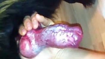 Big red dick dog fucks anal man