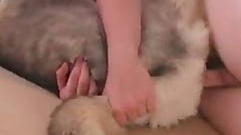 Dog husky fucked in pussy naked man