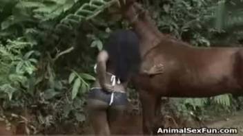 Horse tit fucked