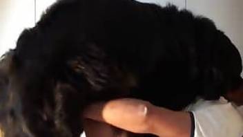 Huge black dog fucks young guy in the ass