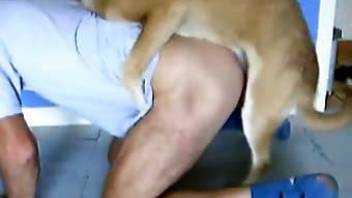 Thin and big dog doggystyle fucks mans hairy anal