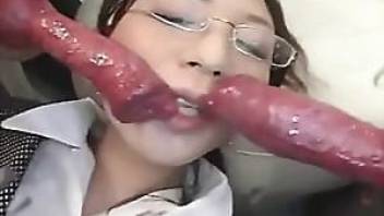 JAV dog sex videos compilation  2019