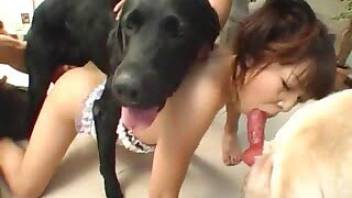 Hairy pussy Asian gal wants dog dicks