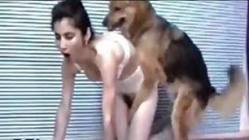 Cruel dog fuck girl