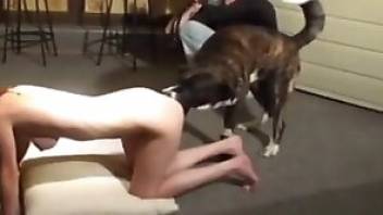 Porno animal with doggystyle fucking