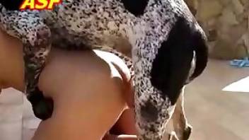 Close-ups in hot videos zoofilia porn