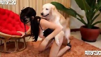 Masked beastiality babe teasing a dog