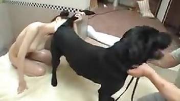 Japanese chick fucking a very sexy dog