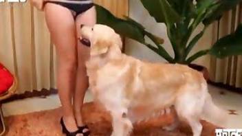 Dog fuck women in her little wet pussy