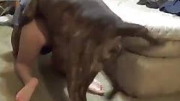 Watch until the end dog fucks a female