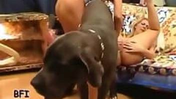 Sensual model feels a big dog dick inside