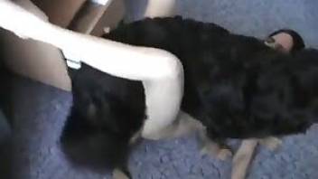 Sweet brunette rammed by dog on the floor