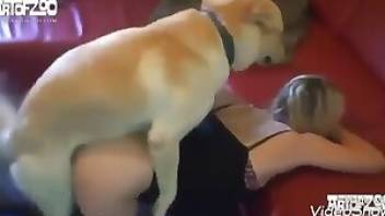 Bubbly girl has sex with dog. Free bestiality and animal porn