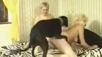 Sexy women screwed by a beast