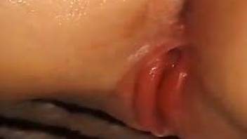 Awesome beastiality  com movie with a nice BJ