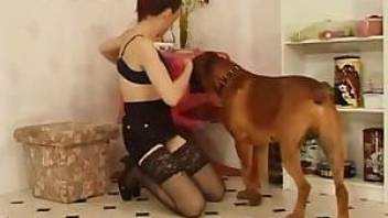 Redheaded chick fucking a hung beast