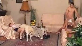 Brown dog fucks woman smooth cunt