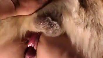 Awesome doggy style gape scene