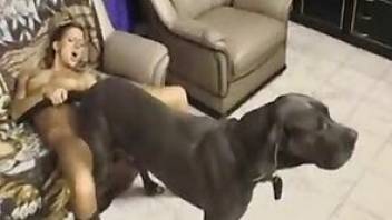 Impressive fuck scene with a horny dog