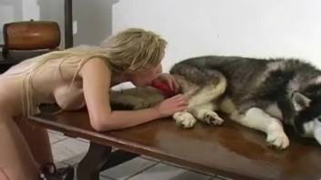 Dog fucking with a kinky Latina blonde