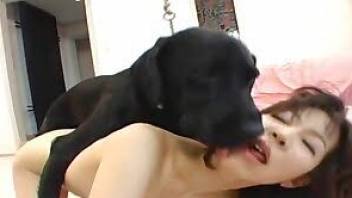 Bestiality com video with a JAV slut