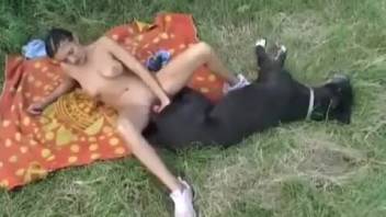 Vintage bestiality outdoor blowjob vid